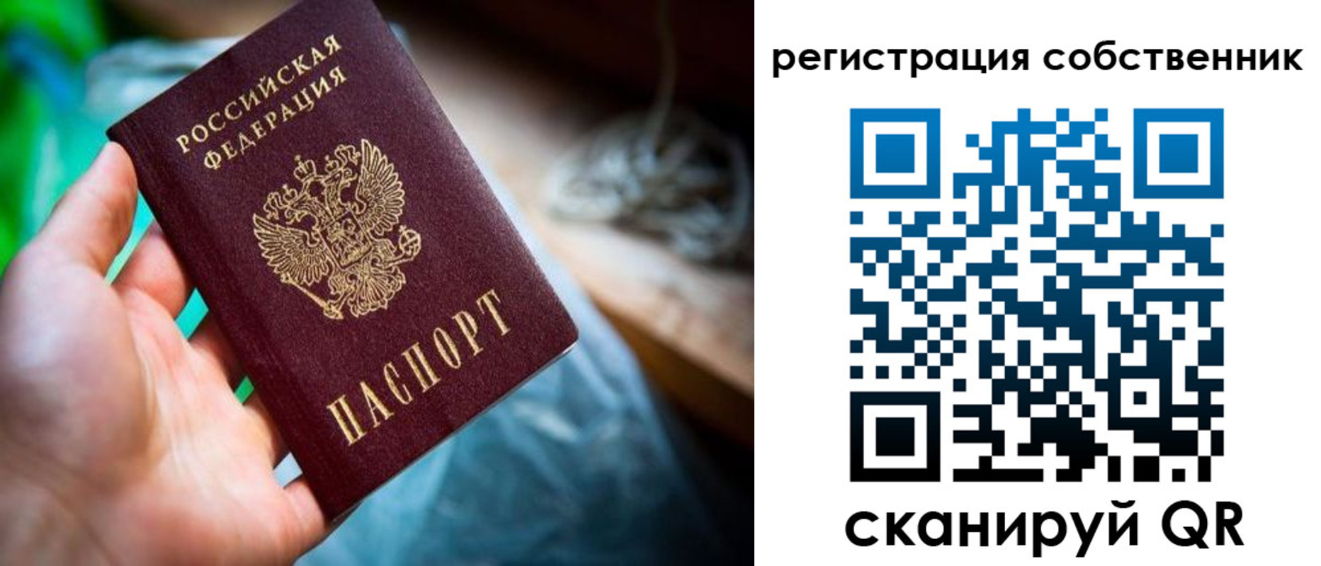 прописка гарантия в Никольском